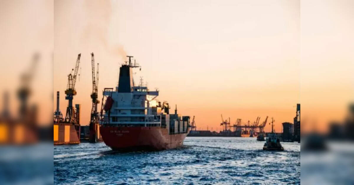 Indian port industry to grow 4-7% over next 5 years, supported by ...