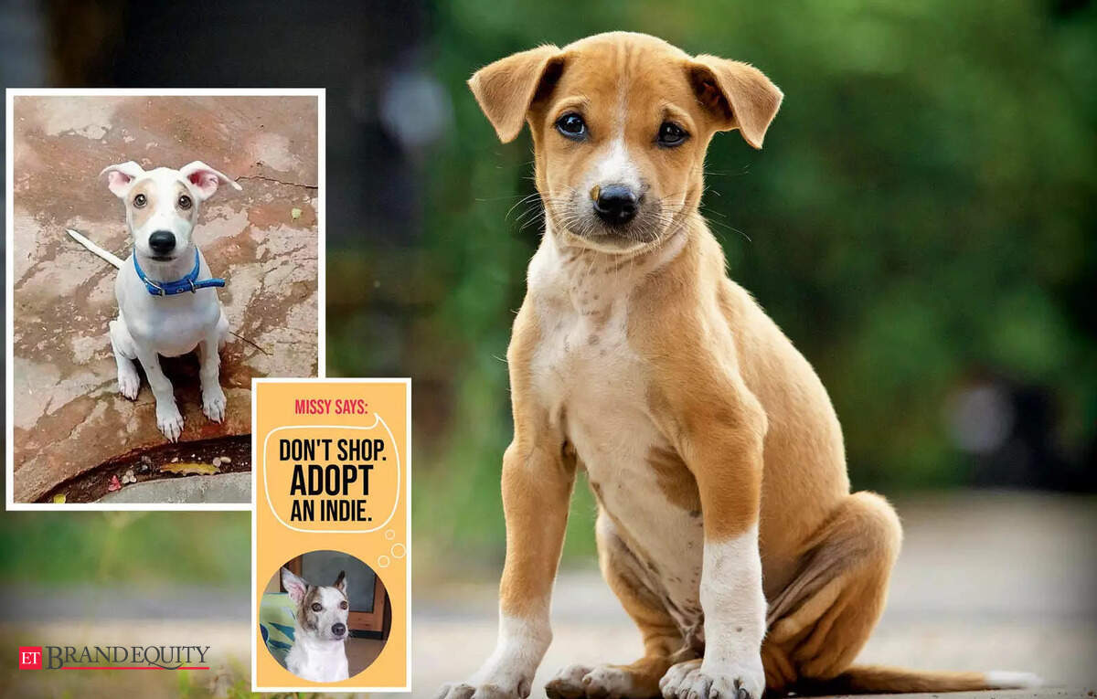 From Social Outcasts to Beloved Pets, ET BrandEquity