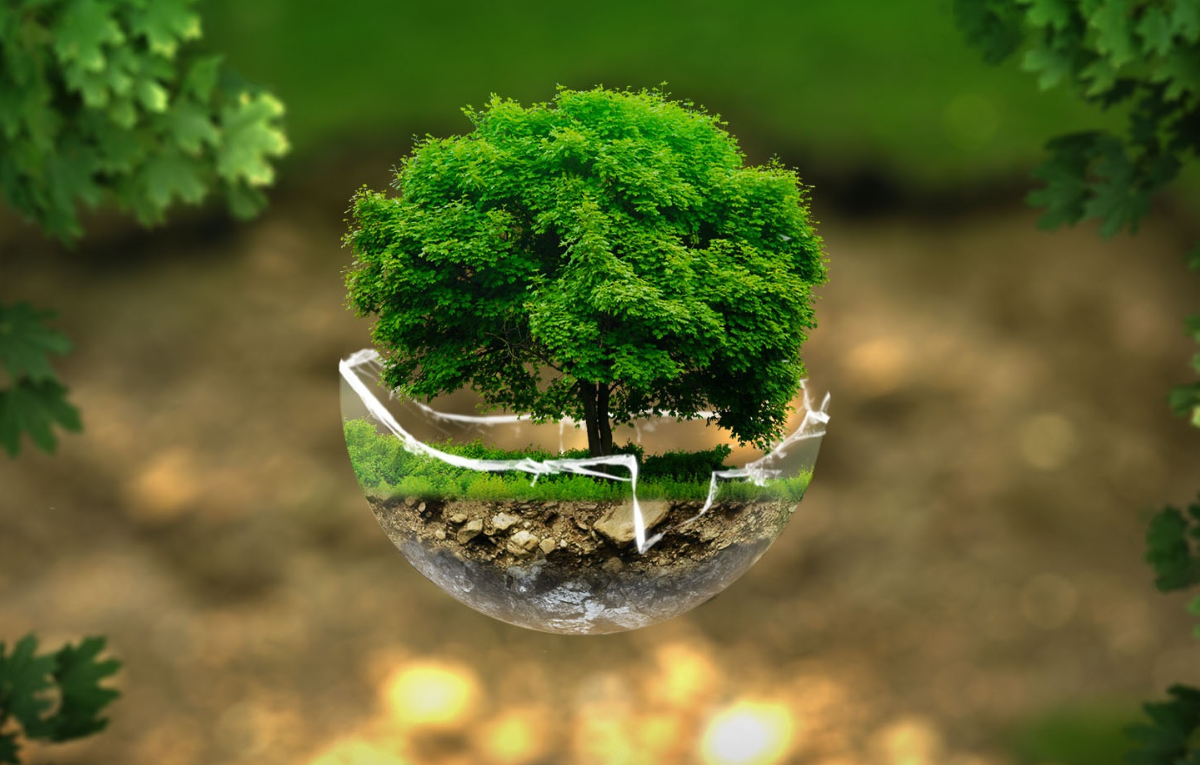 From clean water to clean energy: Industry leaders mark World Environment Day with climate action plans