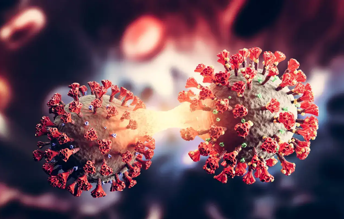 Surat Sees Spike in COVID-19 Cases But Health Officials Assure Stability, ET HealthWorld