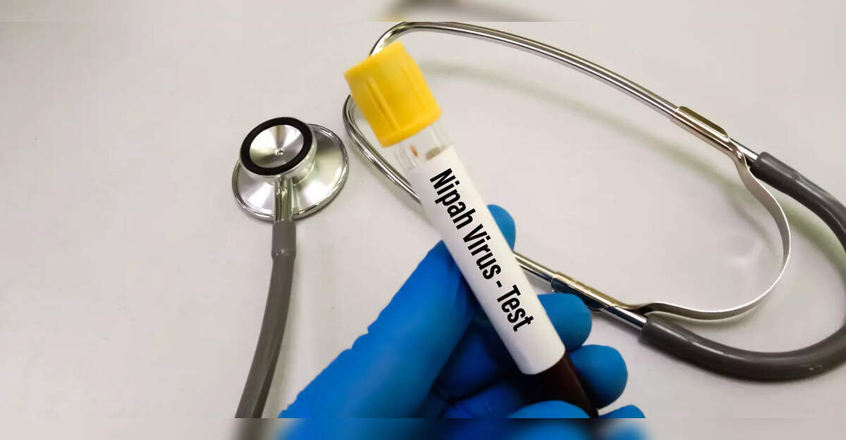 Nipah Virus: 675 persons in contact list; 82 samples from Malappuram negative, says minister