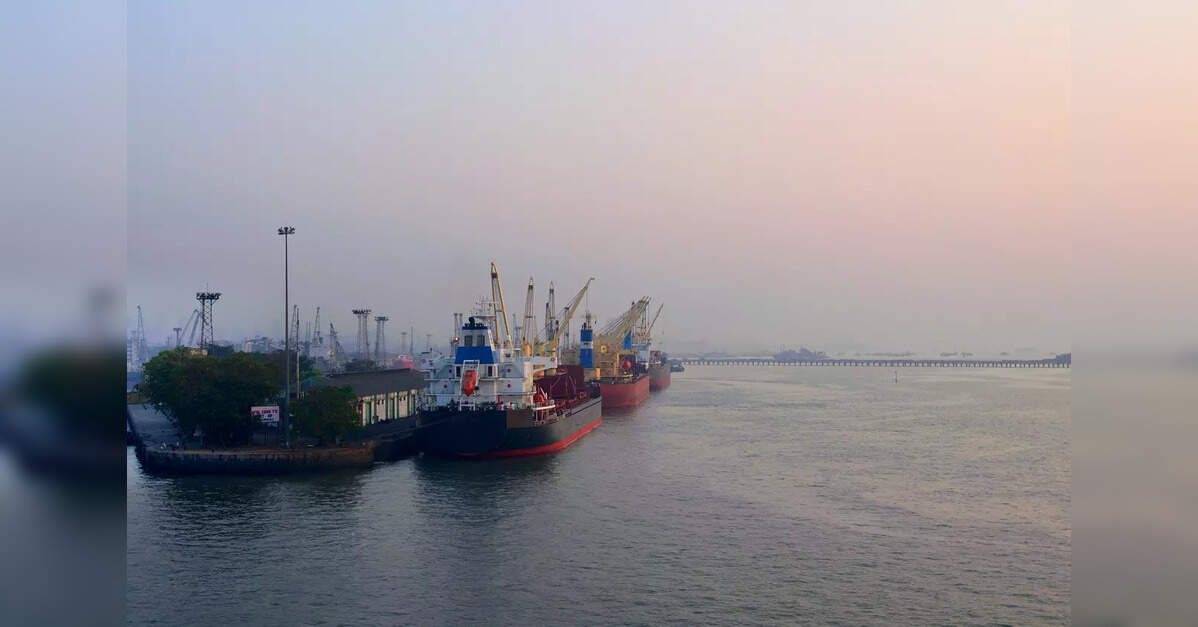 Adani Krishnapatnam Port appeals NGT penalty in Supreme Court