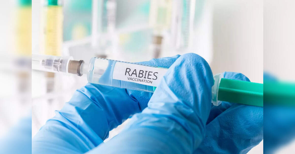 Over 37L dog bite cases, 54 human rabies deaths in 2024