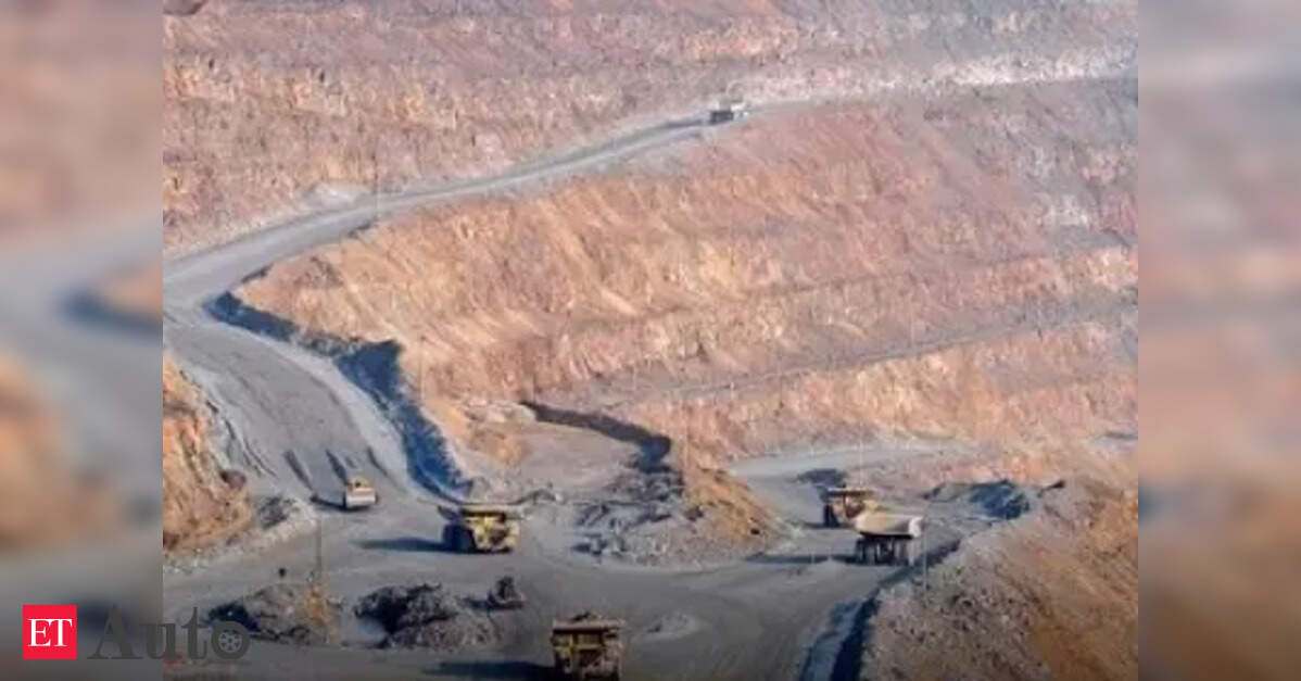 China’s rare earth export curbs hit Indian EV industry; govt explores alternatives