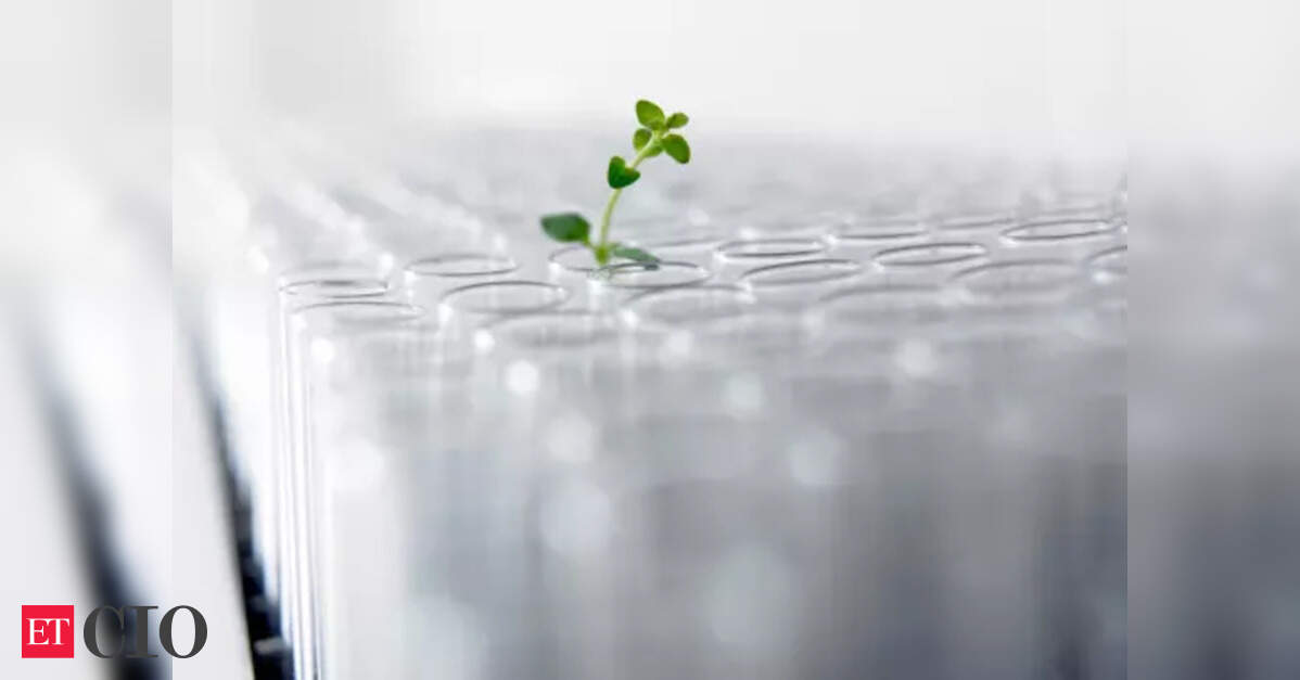 Govt launches advanced biomanufacturing hubs to boost bioeconomy ...