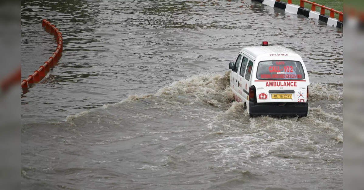 Punjab floods: Health infrastructure worth Rs 780 cr damaged, says minister