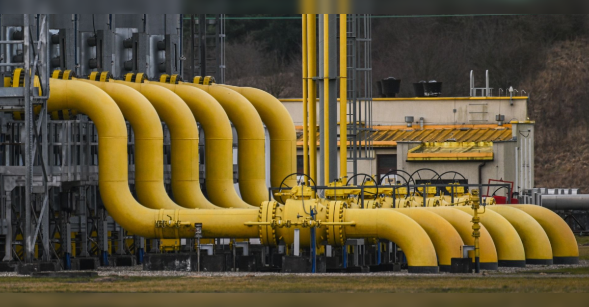 EU could quit Russian gas within a year: US energy chief