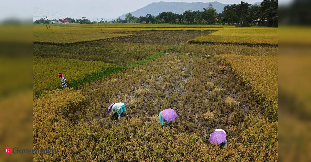 When the climate breaks the contract: Rethinking indemnity in a warming India