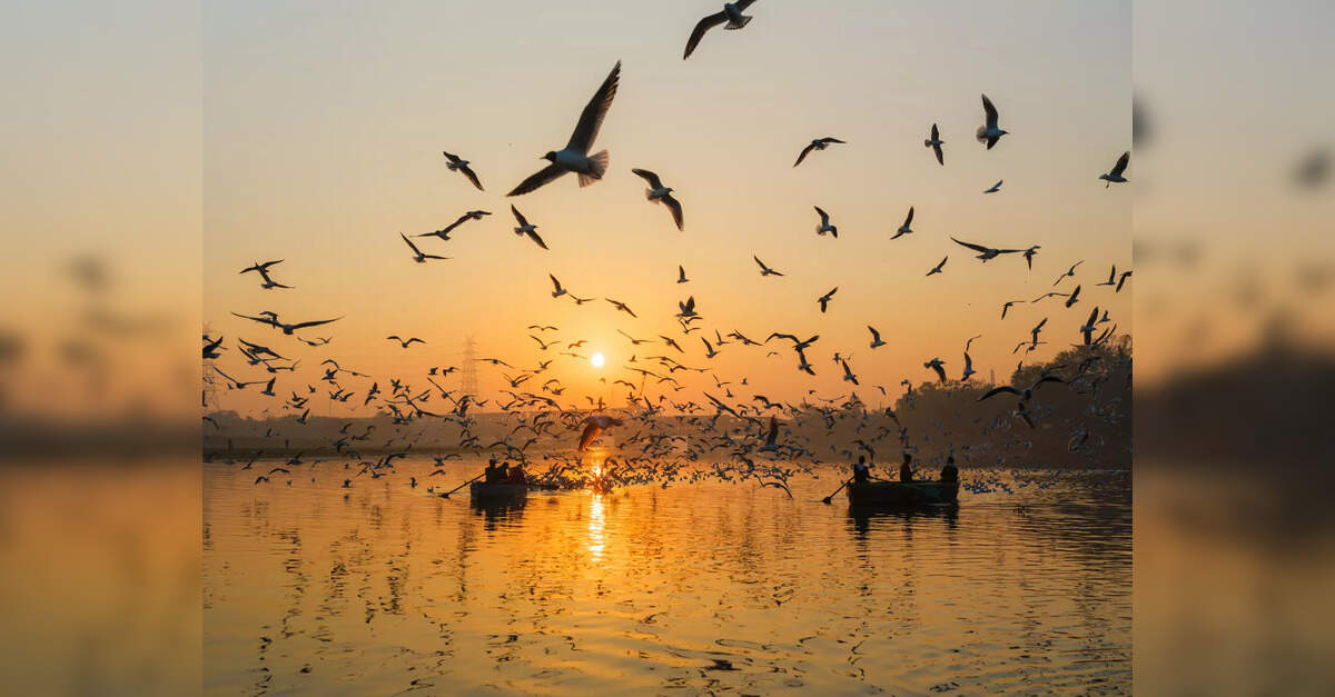 Delhi govt looks to launch Yamuna cruise service by November last week