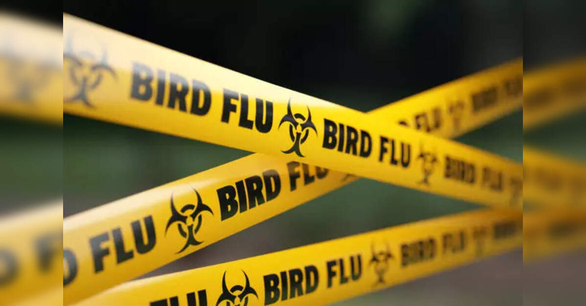 Bird flu poses risk of pandemic worse than COVID, France's Institut Pasteur says