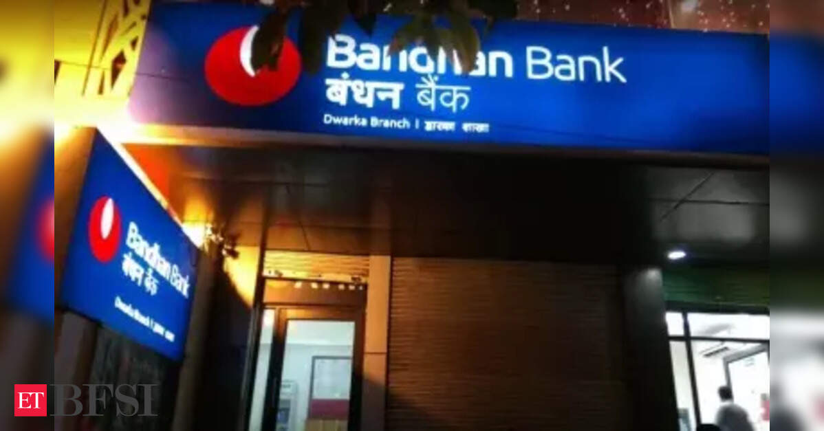 Bandhan Bank’s ₹6,931-Crore NPA sale: EEB, ABG form entire stressed pool
