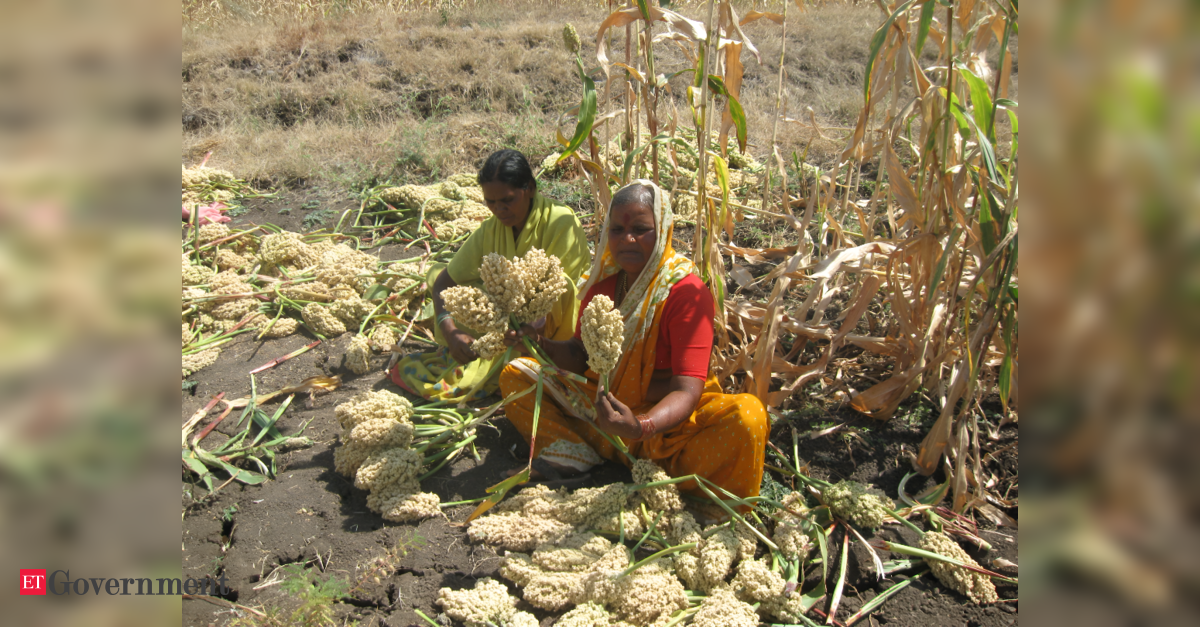 Harnessing three capitals: India’s framework for driving climate action