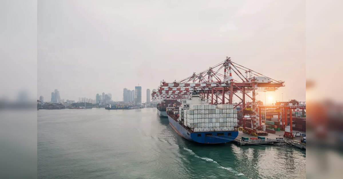 Govt weighs dry bulk transhipment port at Atlanta Bay in North Andaman