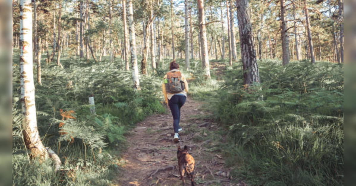 Kazakhstan emerges as the ‘new Switzerland’ for young Indian travellers, finds Niyo report