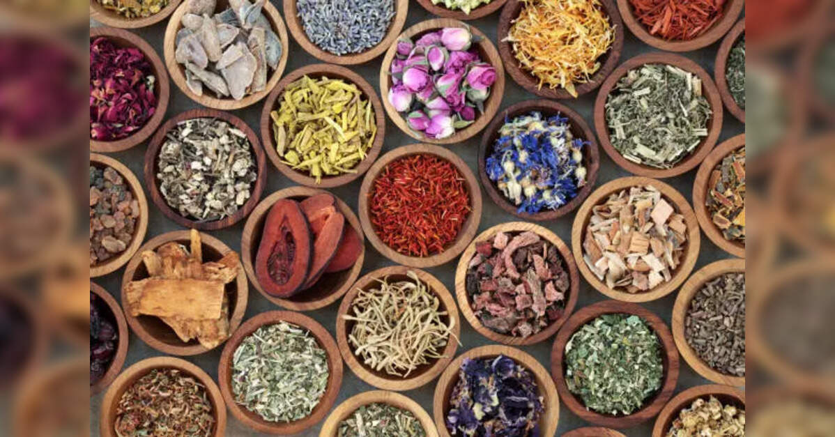 WHO begins global coding of ayurveda siddha unani paving way for mainstream integration