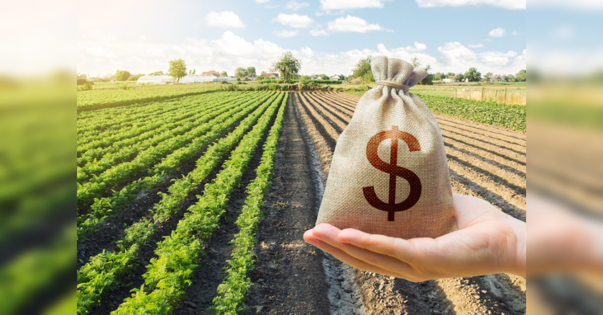 Rail land body gets record ₹2,250 crore bid for 2.5-acre Mumbai land parcel