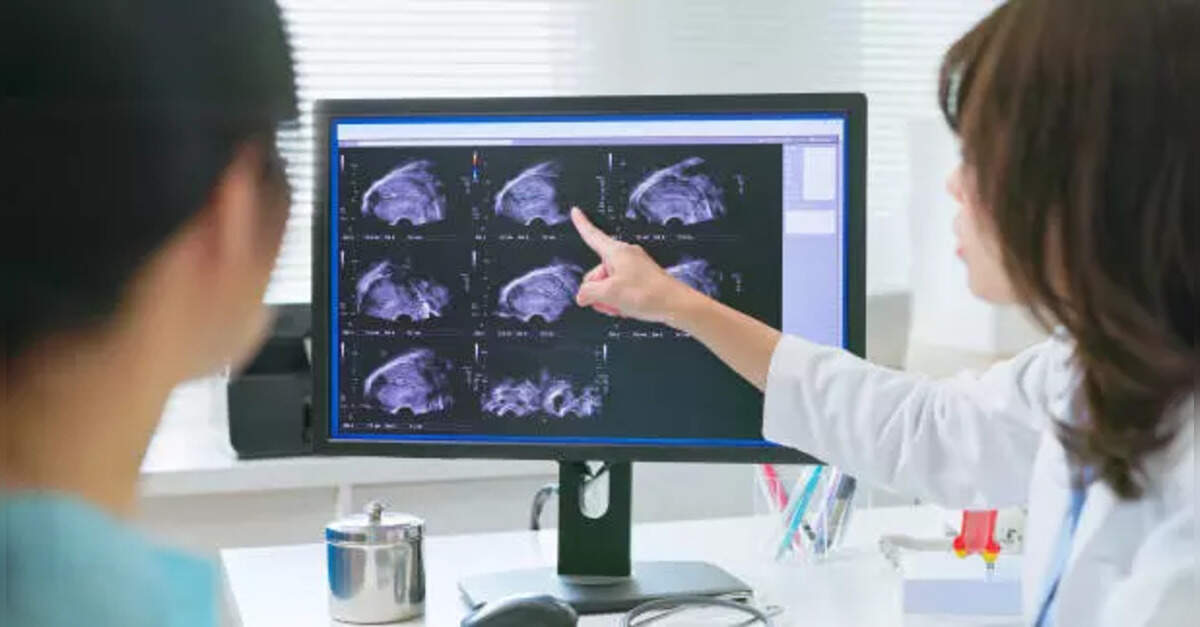 Researchers create replica of womb lining to study early stages of pregnancy