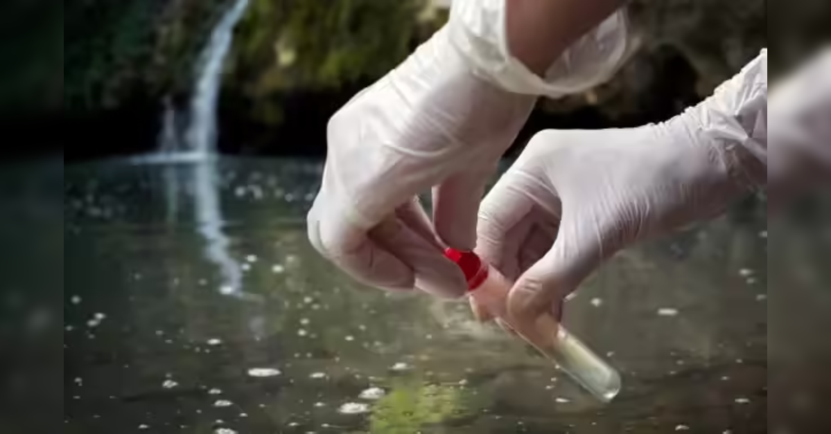 'No new cases reported yet, situation being closely monitored': Odisha Public Health Director on Jaundice outbreak at JNV Khordha