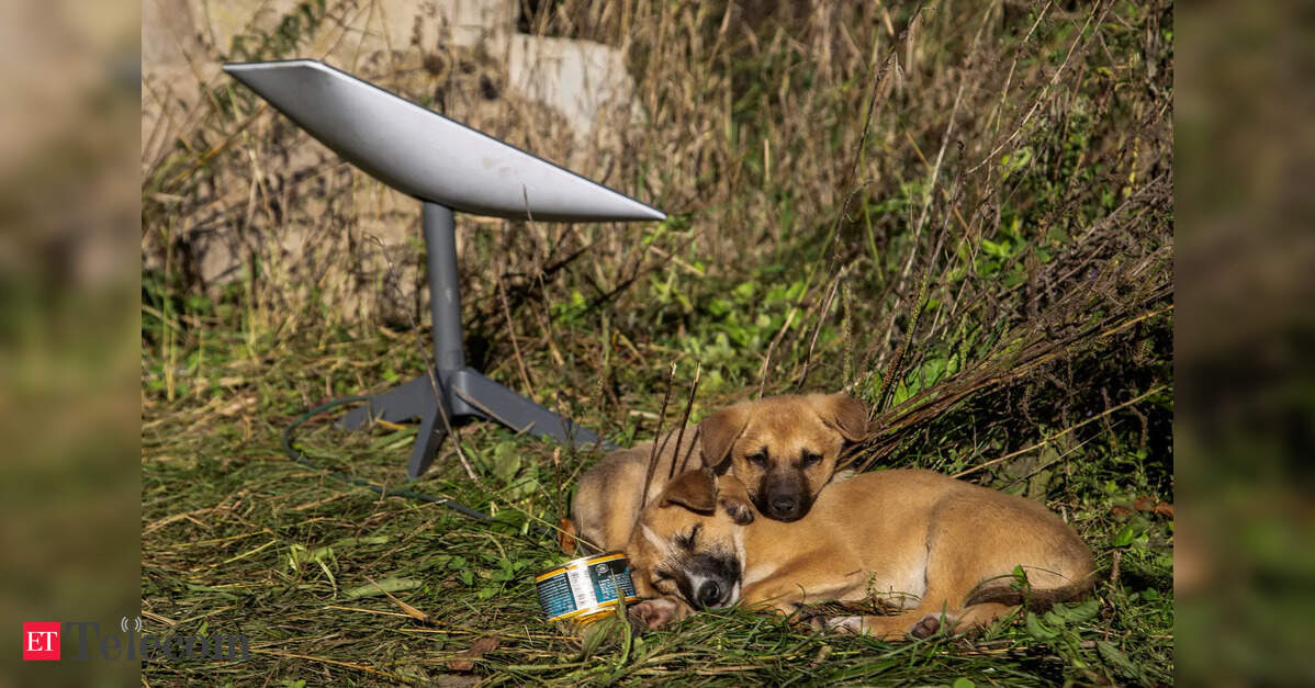 Tehran's Starlink jamming further isolates Iranians