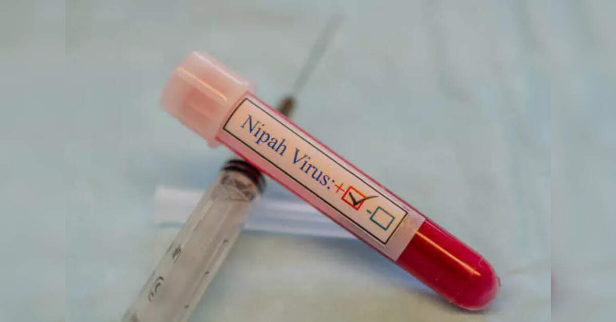 Bengal nurses on ventilator support after showing Nipah virus symptoms