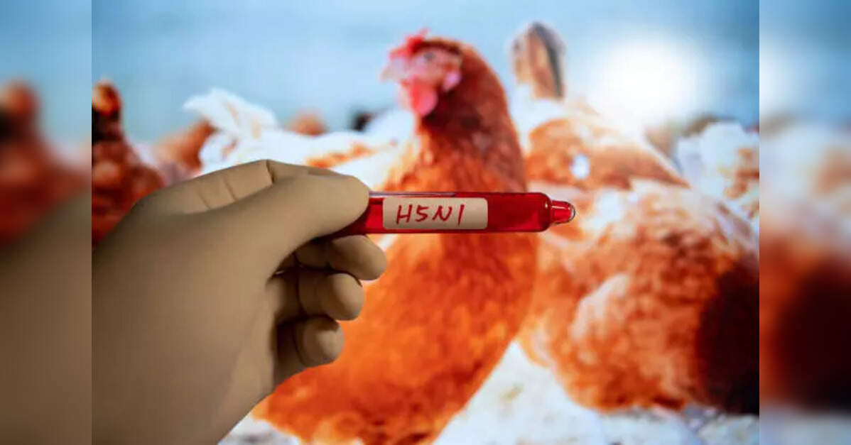 Bird flu alert sounded in Kerala’s Iritty after crow deaths, ETHealthworld