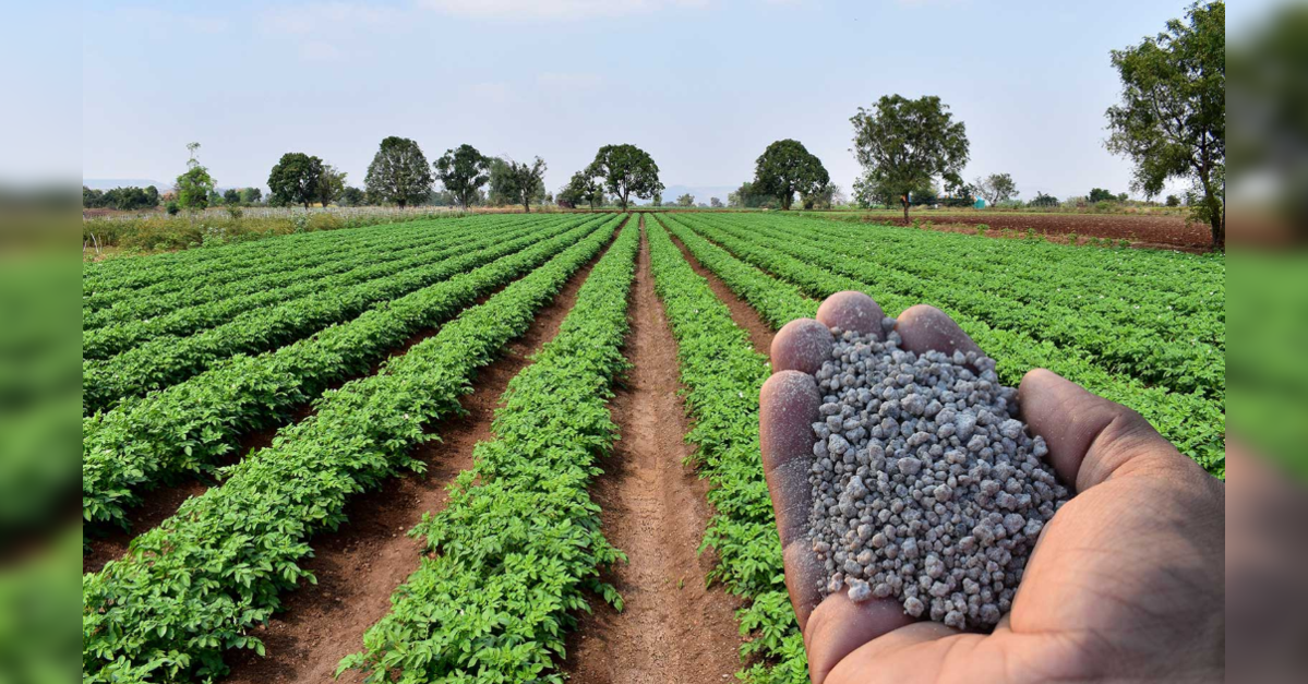 Fertiliser industry seeks duty cuts, subsidy reforms in Budget