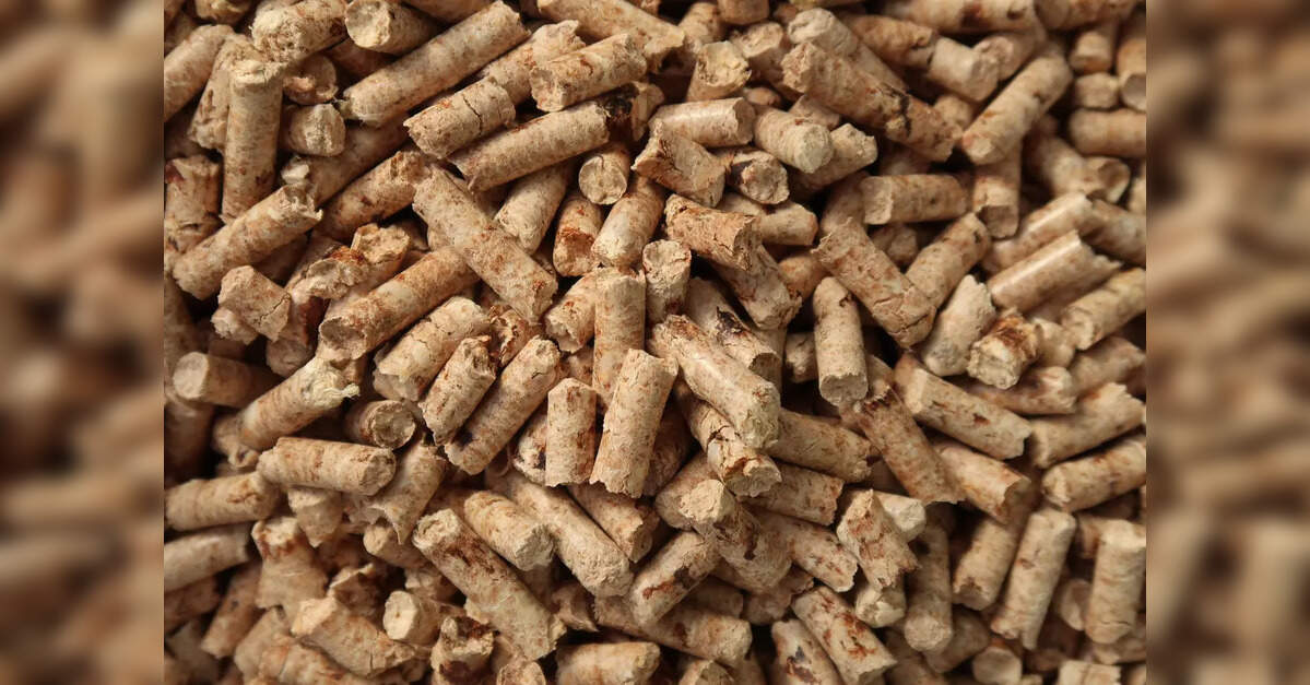 Experts push biomass as missing link in India’s clean energy transition