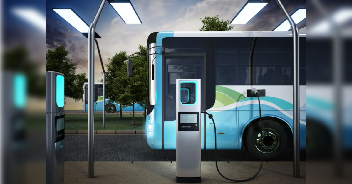 YoloBus sees sharp surge in long weekend travel on southern coastal routes