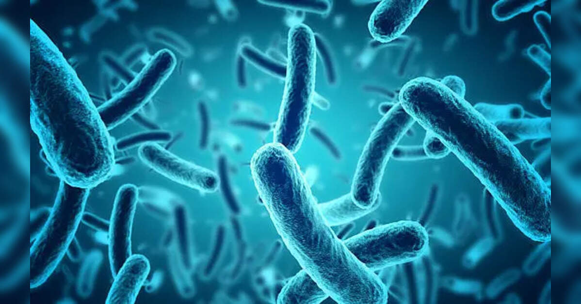 Desert dust storms ferry disease-causing bacteria to the Himalayan hilltops