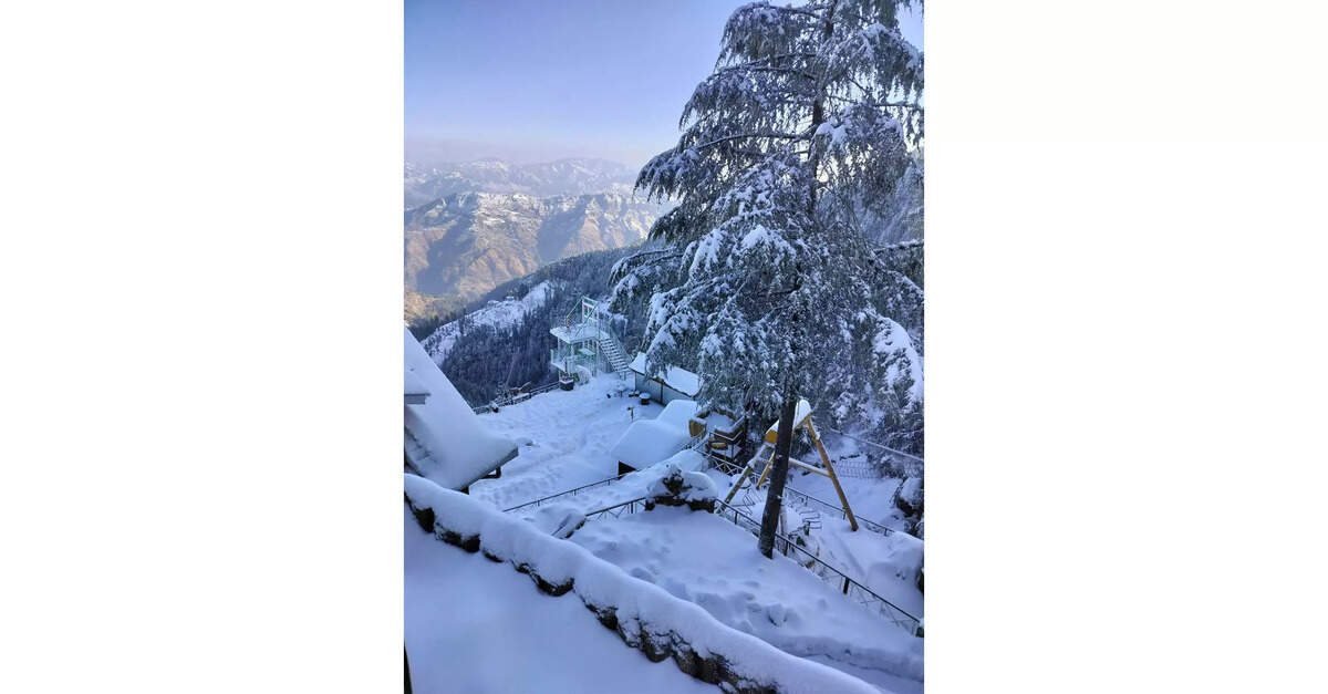 Tourists thrilled as fresh snowfall blankets Shimla; travel industry sees revival