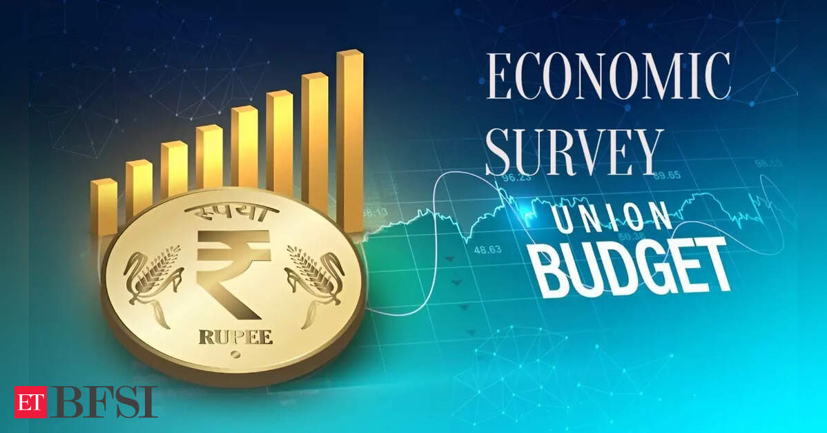 Economic Survey calls for re-examining RTI Act