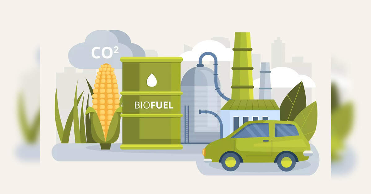 IEW 2026: Bioenergy can strengthen India’s energy security if policy momentum continues, says IEA