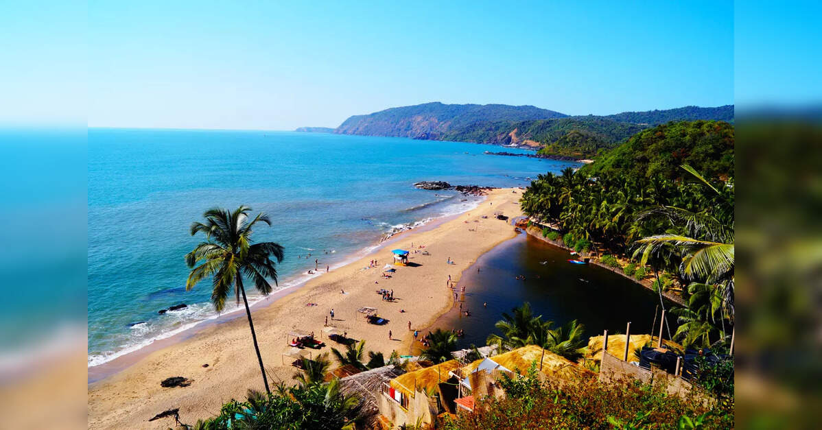 Goa begins New Year on strong tourism note; hotels see near-full occupancy: Minister