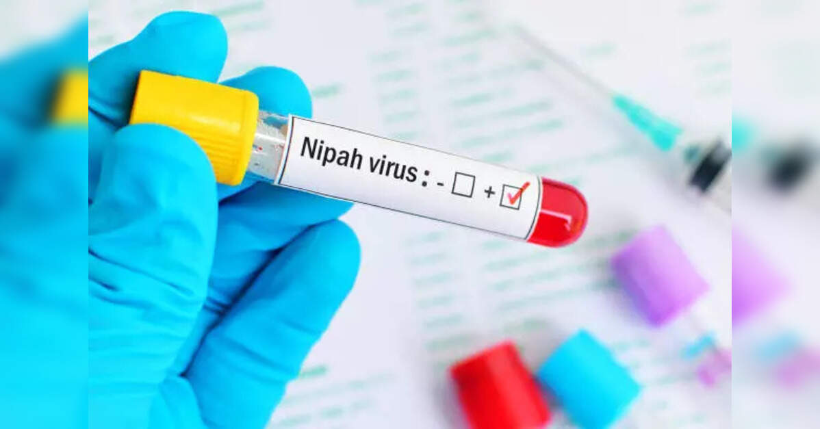Nepal urges vigilance against Nipah virus risk