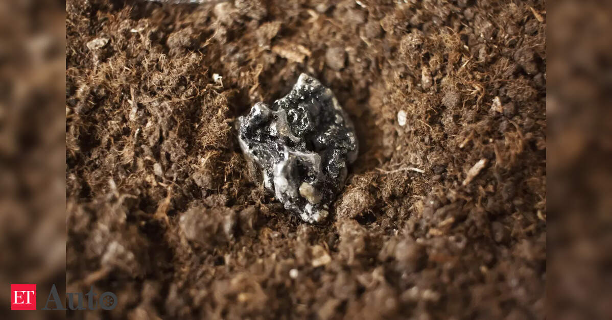 India targets rare earth permanent magnet production by year-end to cut import reliance