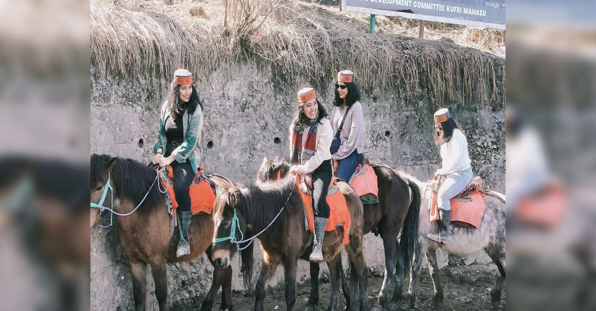 Kufri's winter charm draws tourists, boosts local livelihoods in Himachal
