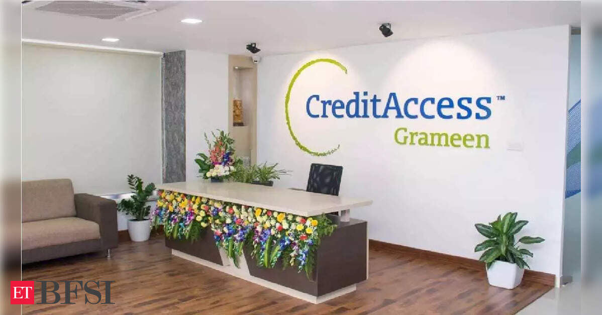 CreditAccess Grameen set for earnings rebound as retail finance drives growth