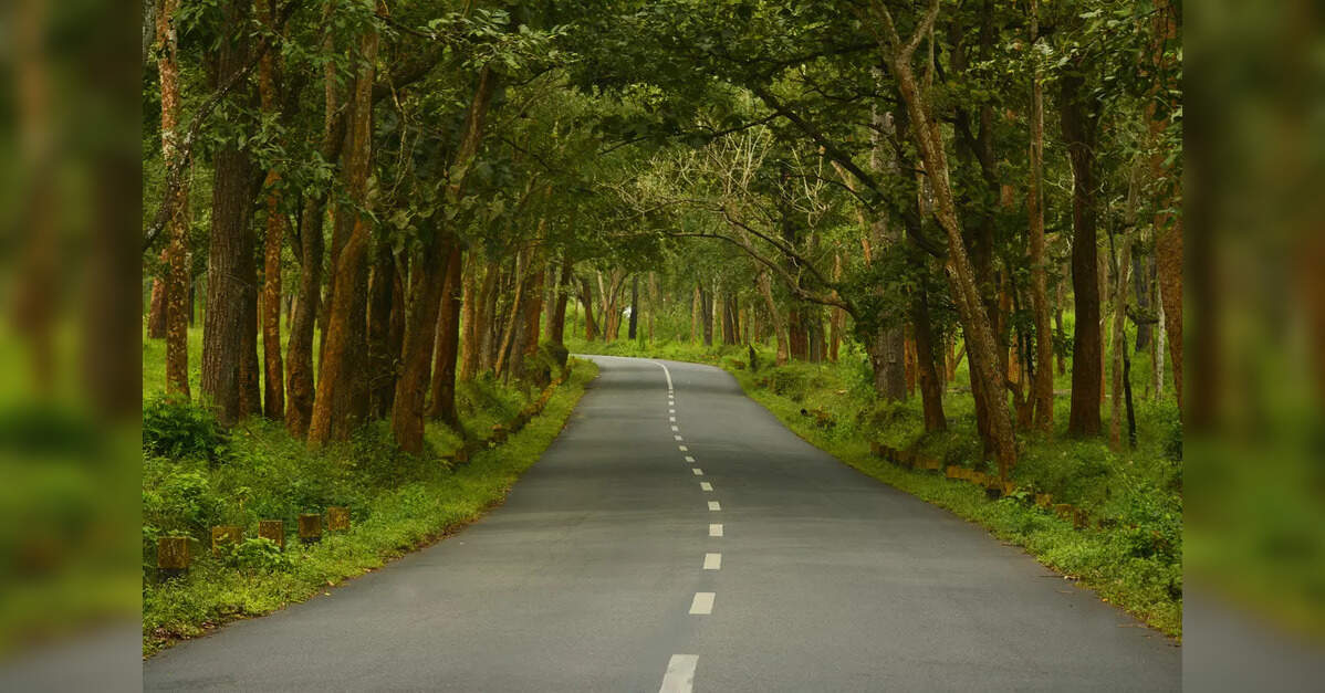 Green activists protest tree damage during road works in Dum Dum