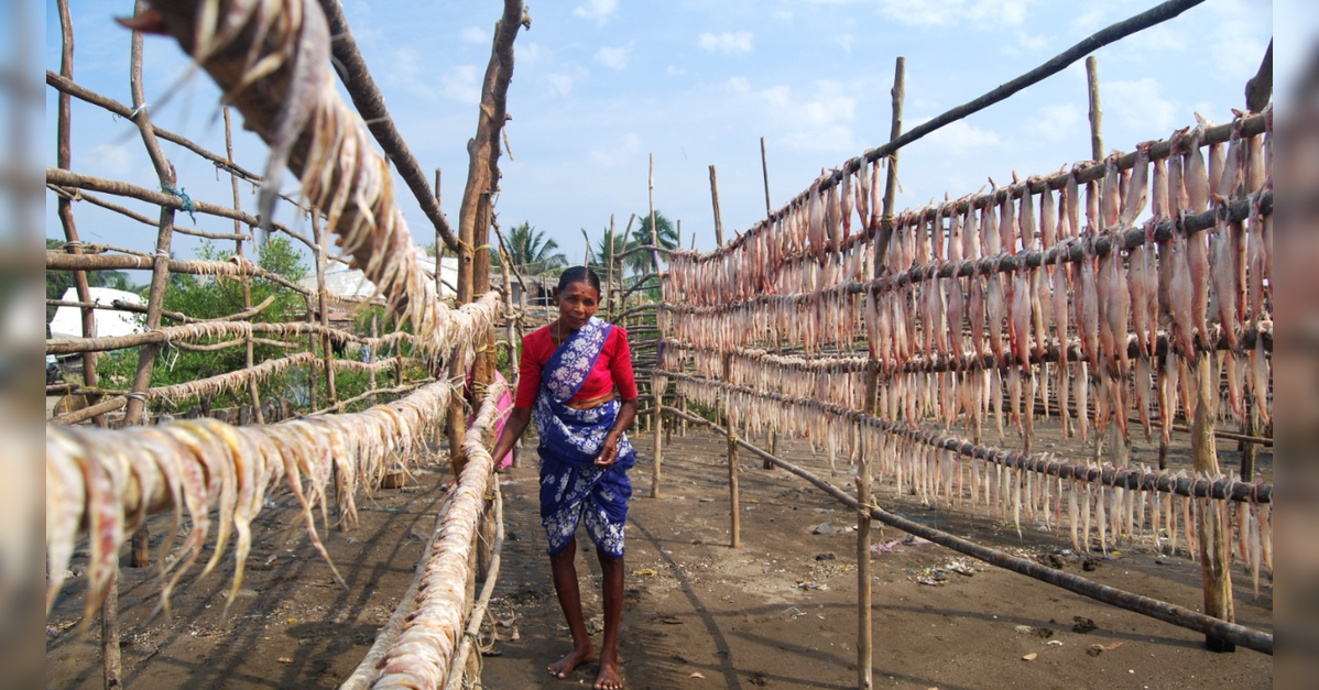 Women drive tourism push under Maharashtra’s ‘Aai’ policy; 900 loans worth Rs 72 crore sanctioned