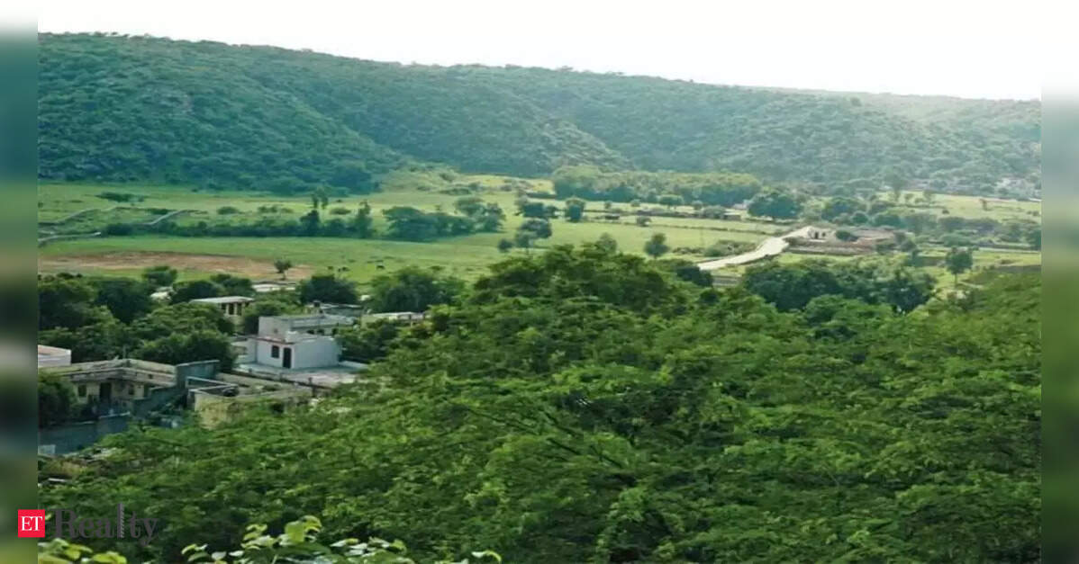 Joint panel set up in Haryana to probe illegal tree felling, construction in Raisina Aravalis