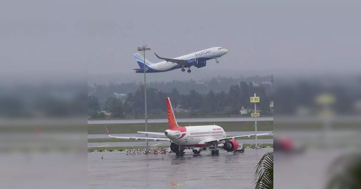 Karnataka to have its own civil aviation policy, says minister