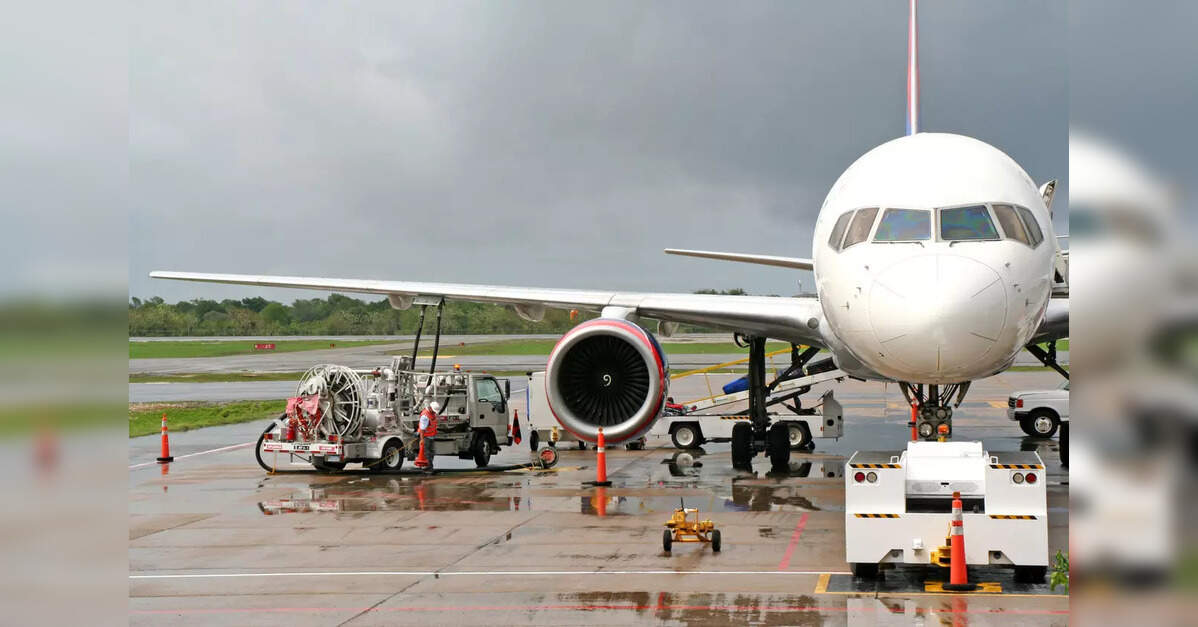 SAF Association calls for using used cooking oil to produce Sustainable Aviation Fuel