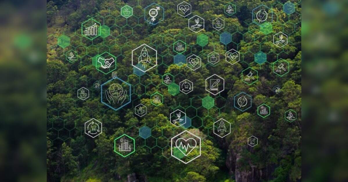 Must leverage platform built by climate leaders to further renewable energy ties: Australian Envoy Green