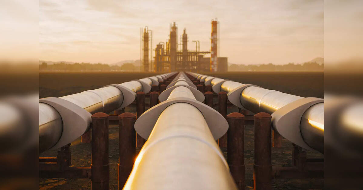 About 2.5 lakh new PNG connections in 25 days, 2.2 lakh shift from LPG: Govt