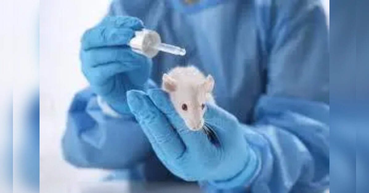 UK Drug Regulator Pioneers Framework for Reducing Animal Testing in ...