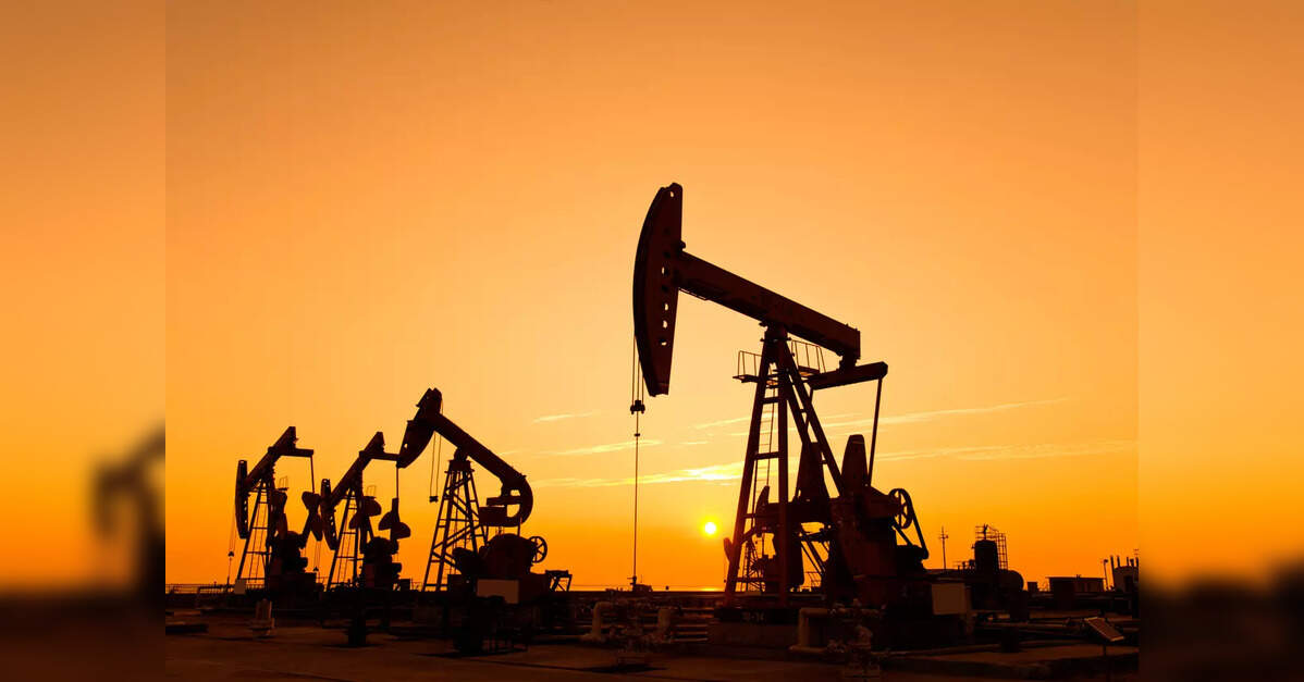 India assures no nationalisation, offers 21 oil blocks to attract global investors