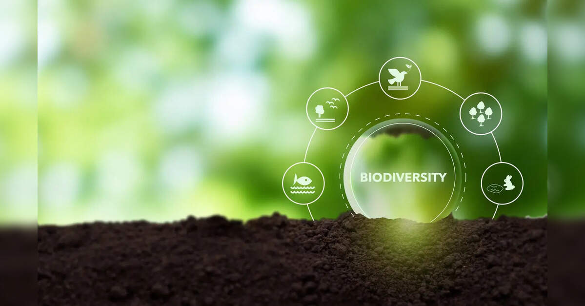 Delhi gets its first 10-year scientific work plan to manage biodiversity