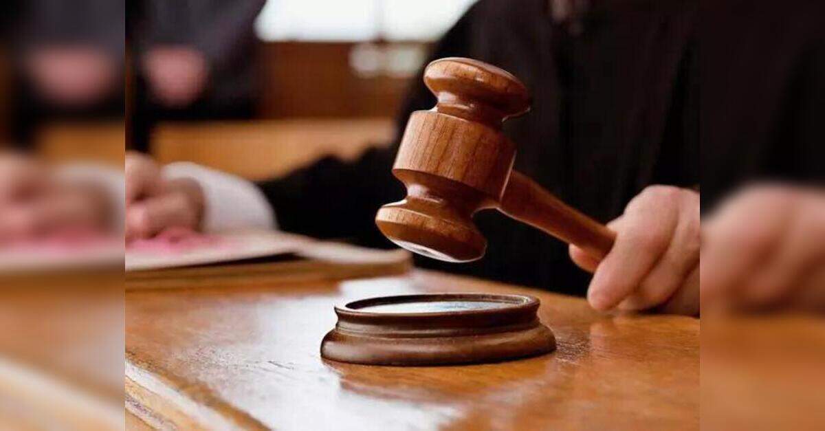 Delhi HC urges swift decision on plea challenging takedown order linking Himayani Puri to Epstein