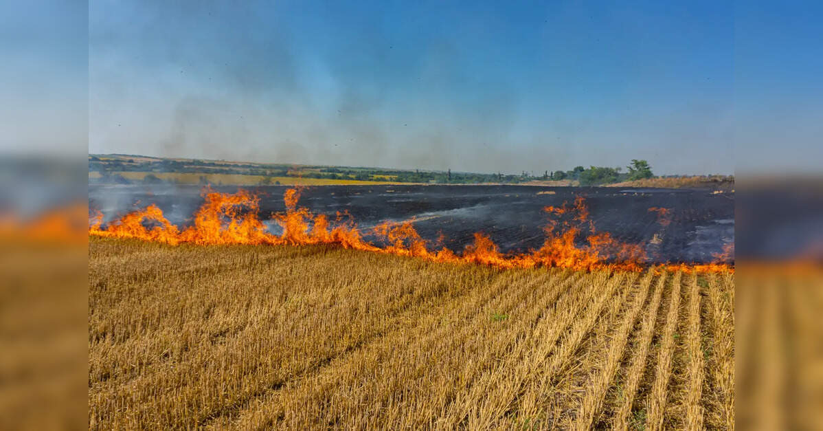 Uttar Pradesh: Farmers to be provided with 100 battery powered E-Brushcutters to mitigate stubble burning