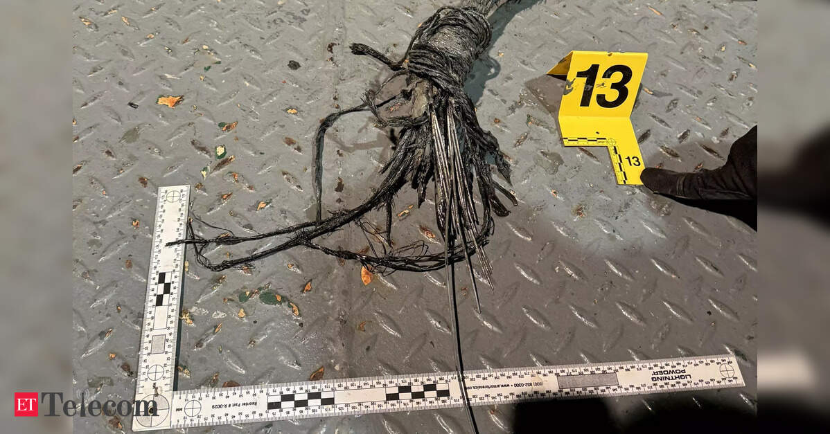 Finland seeks $11 million EU funding to improve undersea cable repairs